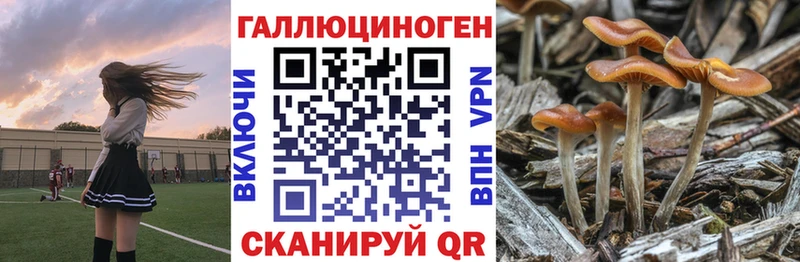 Галлюциногенные грибы GOLDEN TEACHER  цена наркотик  Баймак 